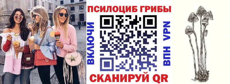 Галлюциногенные грибы Cubensis  Купить закладки  Сибай 